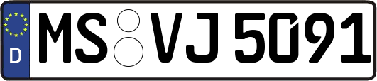 MS-VJ5091