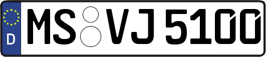 MS-VJ5100