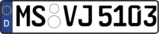 MS-VJ5103