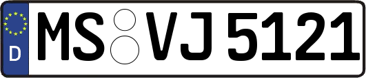 MS-VJ5121