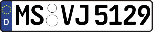 MS-VJ5129