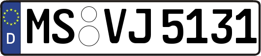 MS-VJ5131