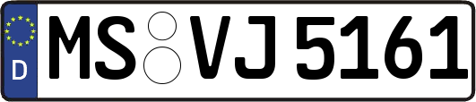 MS-VJ5161