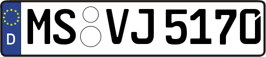 MS-VJ5170