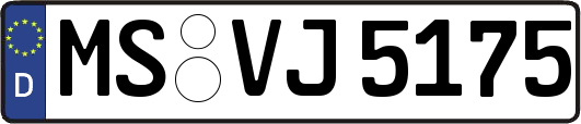 MS-VJ5175