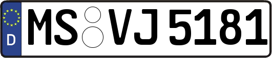 MS-VJ5181