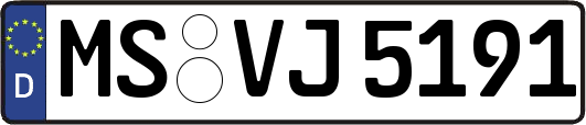 MS-VJ5191