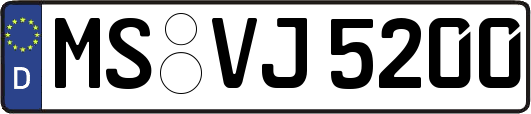 MS-VJ5200