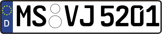 MS-VJ5201
