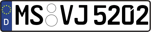 MS-VJ5202
