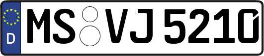 MS-VJ5210