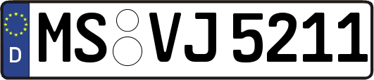 MS-VJ5211