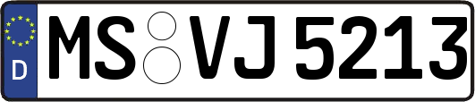 MS-VJ5213