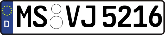 MS-VJ5216