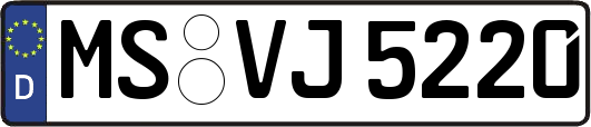 MS-VJ5220