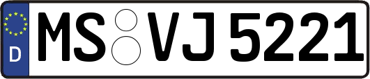 MS-VJ5221