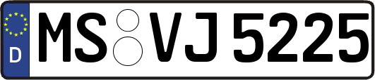 MS-VJ5225