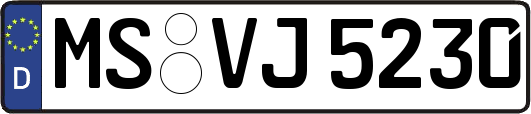 MS-VJ5230