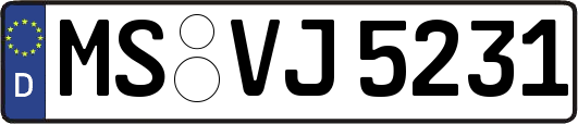 MS-VJ5231