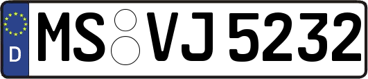 MS-VJ5232