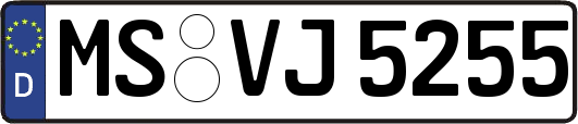 MS-VJ5255