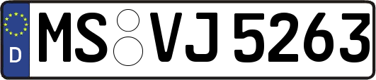 MS-VJ5263