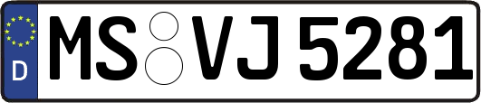 MS-VJ5281