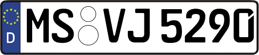 MS-VJ5290