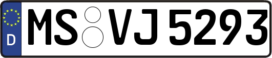 MS-VJ5293