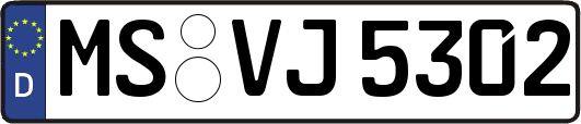 MS-VJ5302
