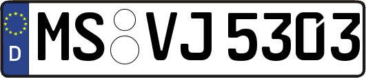 MS-VJ5303