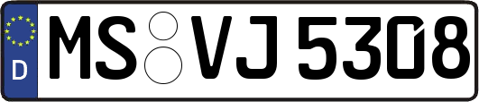 MS-VJ5308