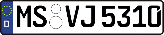 MS-VJ5310