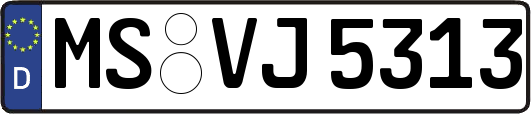 MS-VJ5313