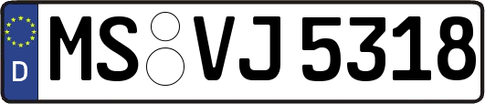 MS-VJ5318