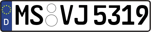 MS-VJ5319