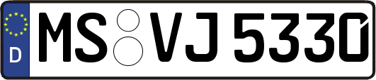 MS-VJ5330