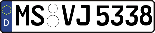 MS-VJ5338