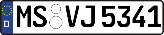 MS-VJ5341