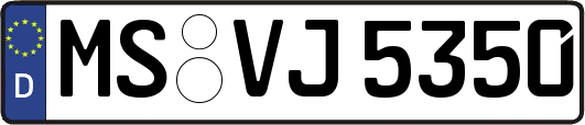 MS-VJ5350