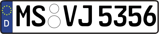MS-VJ5356