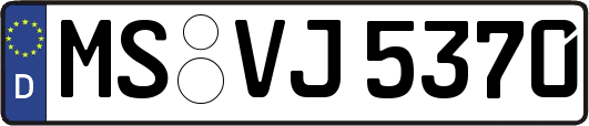 MS-VJ5370