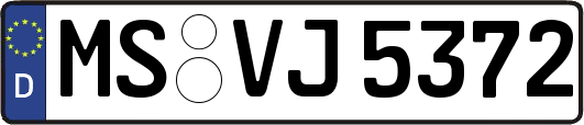 MS-VJ5372