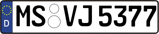 MS-VJ5377