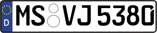 MS-VJ5380