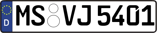 MS-VJ5401
