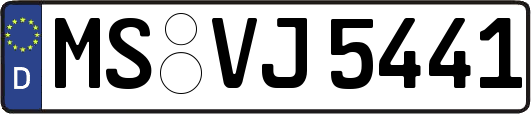 MS-VJ5441