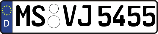 MS-VJ5455