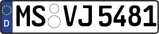 MS-VJ5481