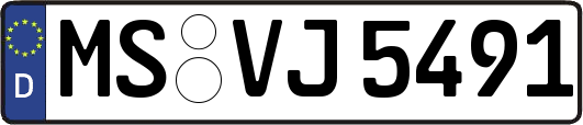 MS-VJ5491